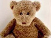 teddy bear closeup