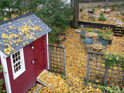 red shed and patio with fall leaves