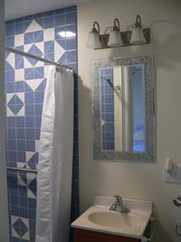 shower enclosure with tile mural, vanity, mirror
