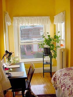 little room: desk, bed, houseplant