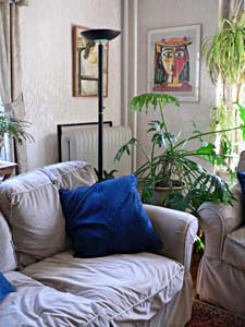 corner of living room: sofa, house plants